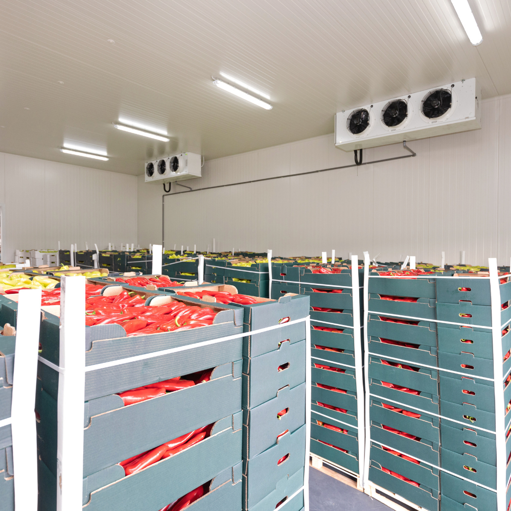 Copy of Untitled Design (18)